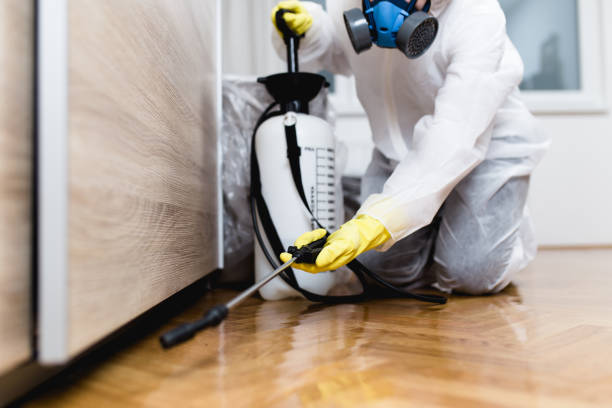 Best Commercial Pest Control Services  in Dexter, MO