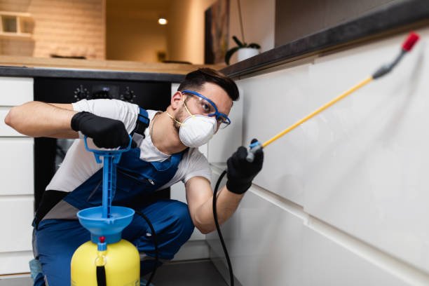 Best Affordable Pest Control Services  in Dexter, MO