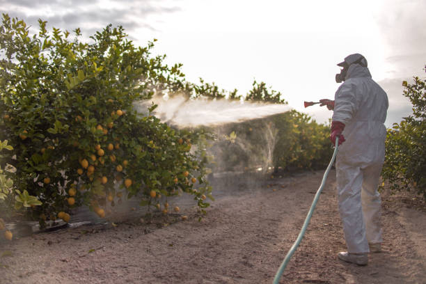Professional Pest Control in Dexter, MO