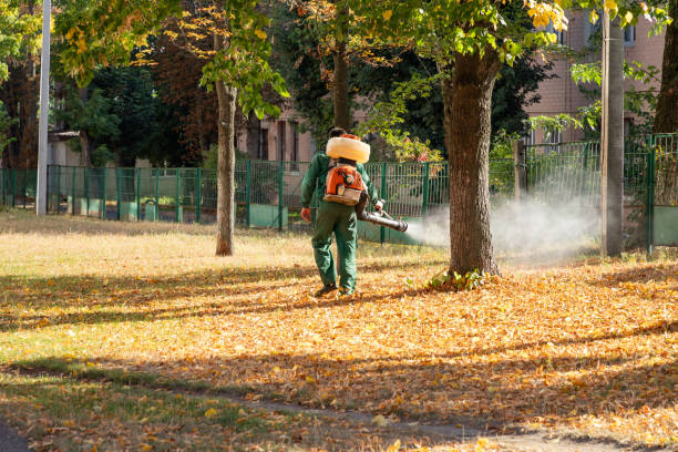 Wasp Removal Services in Dexter, MO